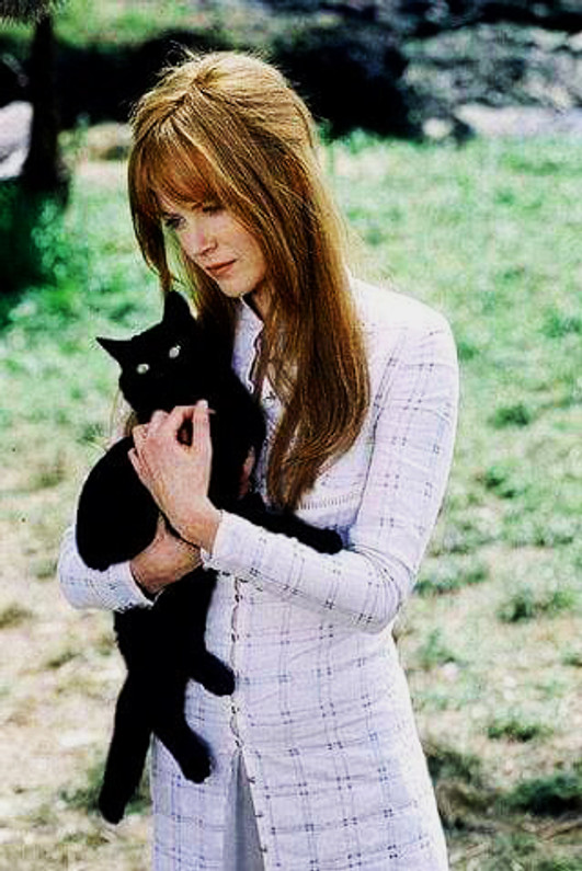 Practical Style: The Bewitching Style of the Movie Practical Magic