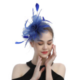 Grrly Grrls Mesh Tea Party Fascinator with Feathers 