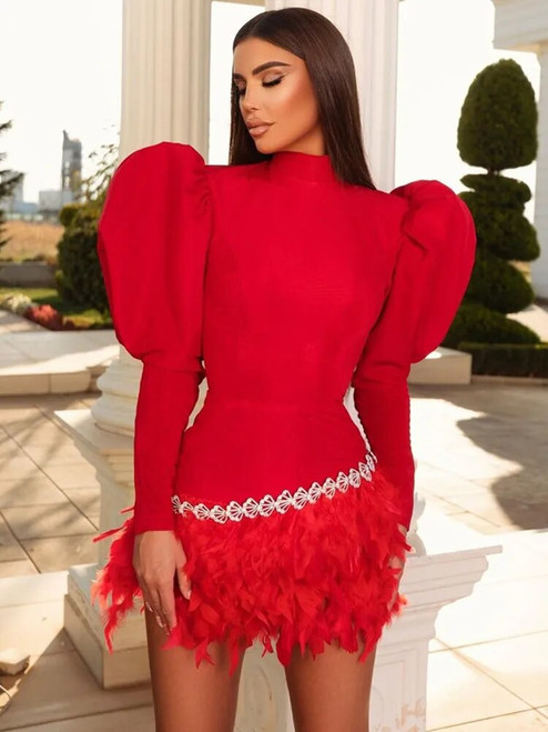 Puff Sleeve Feathered Mini Dress