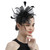Mesh Tea Party Fascinator with Feathers