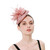 Feather Tea Party Pillbox Hat 