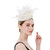 Feather Tea Party Pillbox Hat 