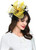 Royal Flower Feather Mesh Hat