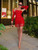 Red Crystal Tassel Mini Dress 