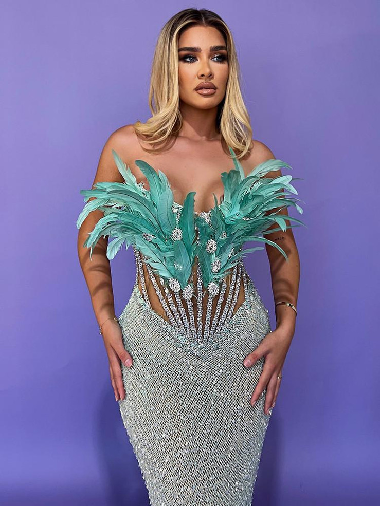  Feathered Elegance Strapless Gown  