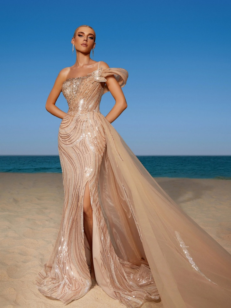 Champagne Drreams Gown 