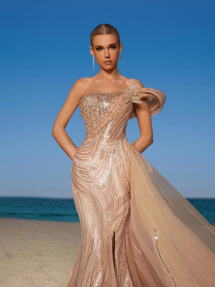 Champagne Drreams Gown 
