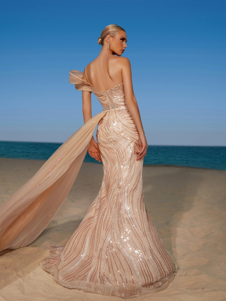 Champagne Drreams Gown 