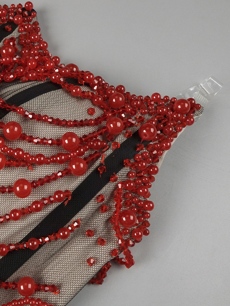 Infra-Red Corset Mini Dress