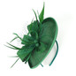 Grrly Grrls Sinamay Loop Veil & Feather Fascinator 