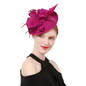 Grrly Grrls Sinamay Loop Veil & Feather Fascinator 
