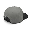 BMX Cartel Class two-tone cap