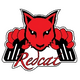 Redcat Racing