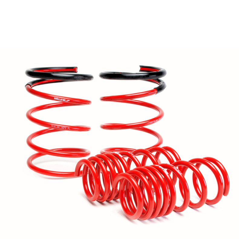 Lowering Springs - '05-'06 RSX