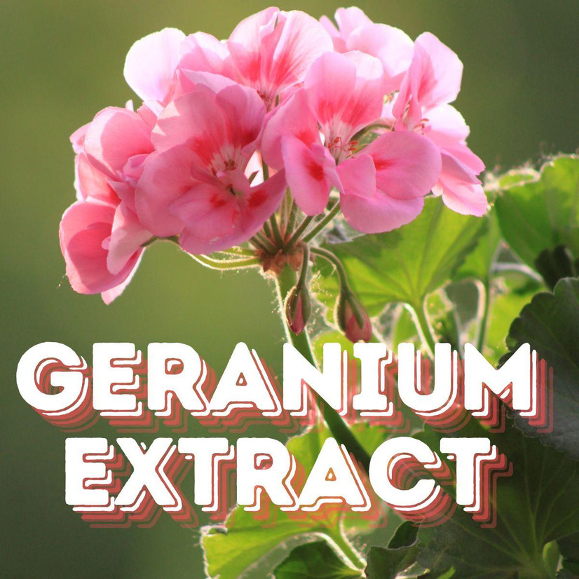 Geranium Extract in Sports Nutrition Supplements: What You Need To Know