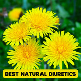 Natural Diuretics: The Best Supplements & Foods