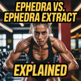 Understanding Ephedra Extract
