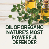 Complete Guide to Oil of Oregano