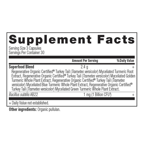  Ancient Nutrition Turmeric 90 Capsules 