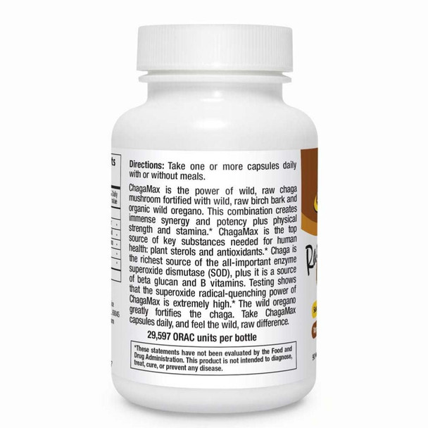  North American Herb & Spice ChagaMax 90 Capsules 