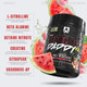 Ryse Supplements Ryse Pump Daddy V2 20/40 Servings 