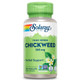  Solaray Chickweed 385mg 100 Capsules 