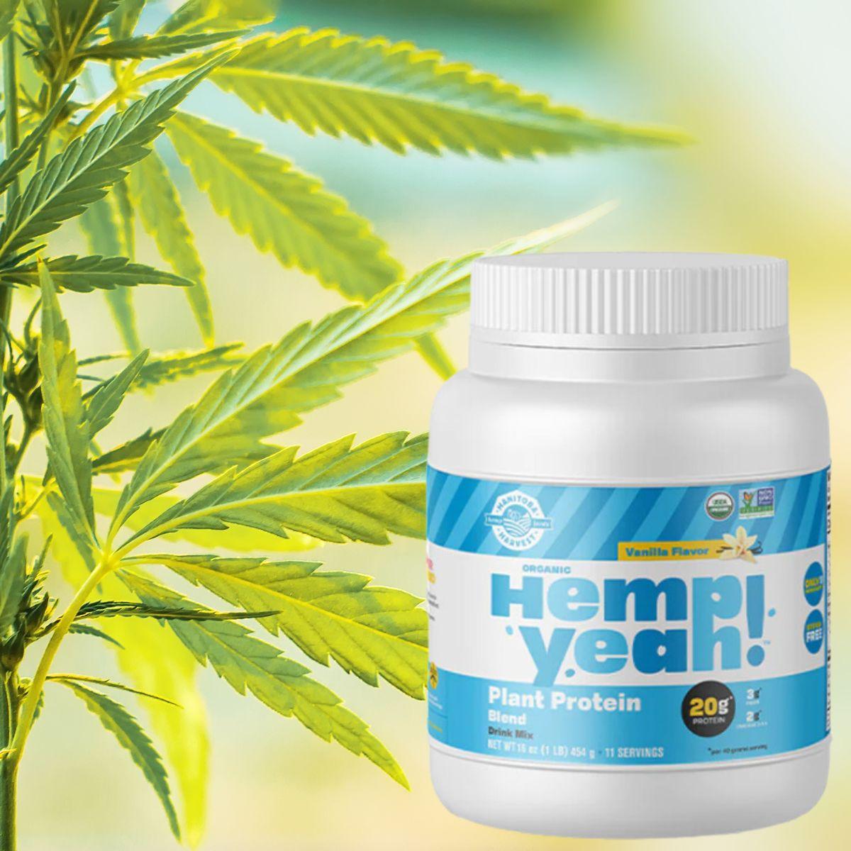 Hemp Yeah! Protein Powder Review & Taste Test Best Price Nutrition