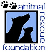Cats and dogs find loving homes at ARF