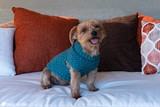 Catching up with crochet designer Ashlea Schumaker