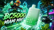 Miami Mint Elf Bar Flavor Description: Comprehensive Review