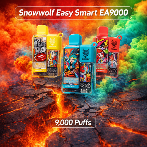 Snowwolf Easy Smart EA9000