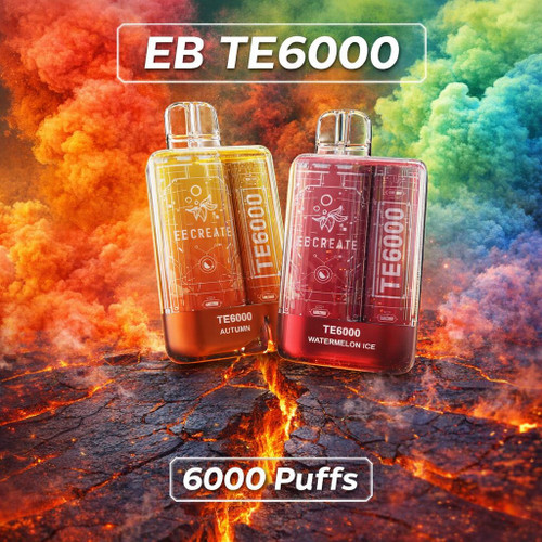 EB TE6000