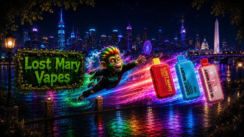 Lost Mary