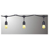 CTL 48Ft LED String Light w/ 18 Bulbs Included