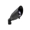 Focus DL22 Series Directional Light