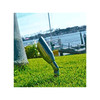 Focus DL22 Series Directional Light