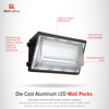 Elco LED Large Wall Pack