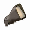 Hinkley 12V LED Flood Spot Light
