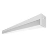 Envision 4' Field-Adjustable Eco Linear Fixture