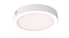 Westgate 120-277V Snap Flush-Mount Disk Light