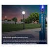 RAB Field-Adjustable Vaporproof Light w/ RGB