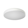 RAB CURV Surface Mount w/ Adjustable-CCT