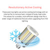 RAB Field-Adjustable Post Top LED Bulb