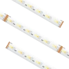 American Lighting 24V LED RGB+Wide Range Tunable White Spec Grade Tape Light