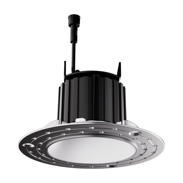 Elco 1" Round Recessed Architectural Oak Trimless Downlight