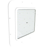 Westgate 120V/277V LED Petro Flex Multi-Power Canopy Light