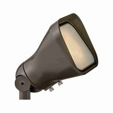 Hinkley 12V LED Flood Spot Light