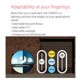 RAB SLIM®22 Field-Adjustable Wall Pack