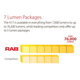 RAB A17 Ultra-Economy Area Light