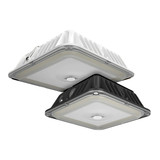 RAB VAN17 3-Way Adjustable Canopy Light
